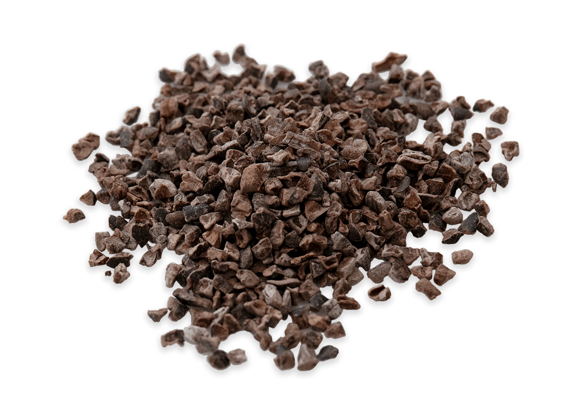 Granos de cacao en trozos 