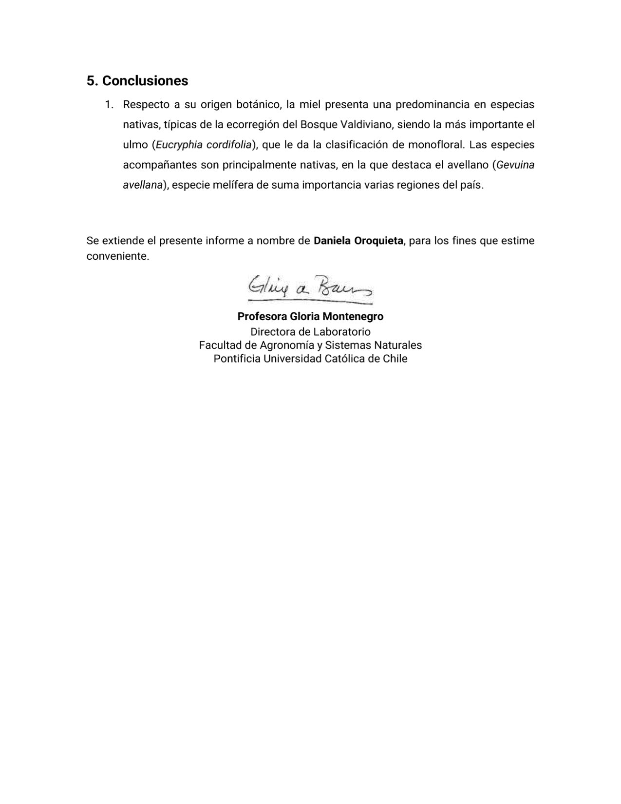 Miel de Ulmo Certificada. Pura, Cruda y Sin Filtrar